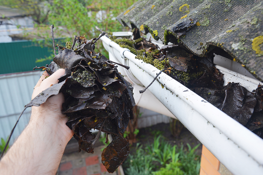 debris removal