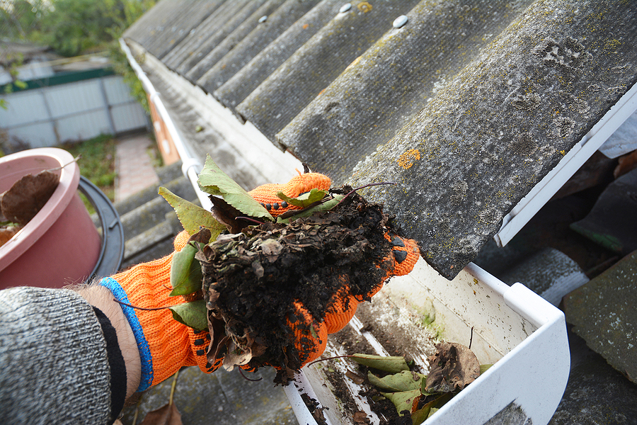 clogged gutters